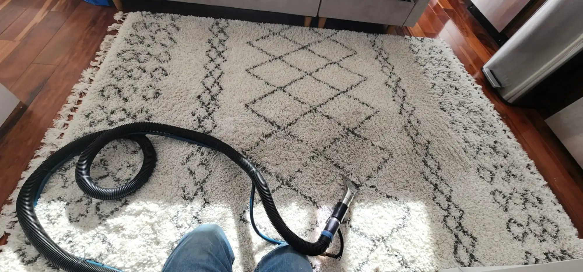 How to Clean Carpet?